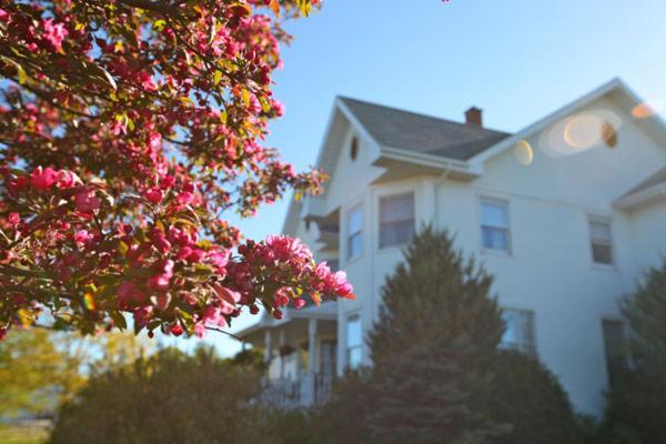 Twin Peaks B&B Mindemoya Exterior foto